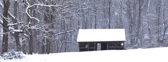 Old shed in snow with trees