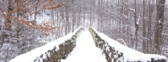 Pristine Snow on a Footbridge